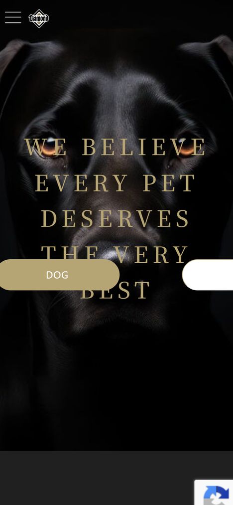 DIAMOND PET FOODSのブランドサイト｜MST CREATEの制作事例